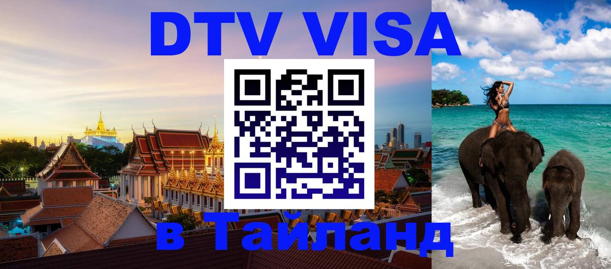 Оформление DTV визы под ключ: стоимость и тарифы, только загранпаспорт - 18.11.2025 